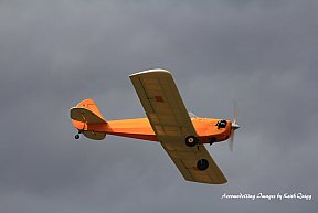 Monty Tyrrell 2017
