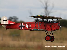 Monty Tyrrell 2017