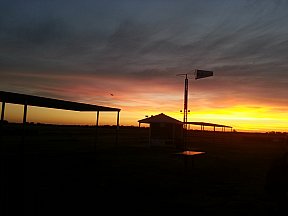 Alan Foley's Bird at Night - Twi Fly April 26th 2014