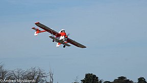 Monty Tyrrell 2018