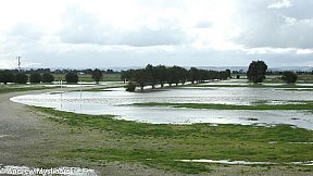 Flood's 12 August 2019