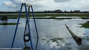 Flood's 12 August 2019
