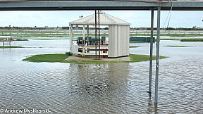 Flood's 12 August 2019