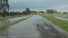 Flood's 12 August 2019