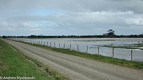 Flood's 12 August 2019