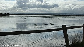 Flood's 12 August 2019