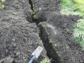 Irrigation System Upgrade